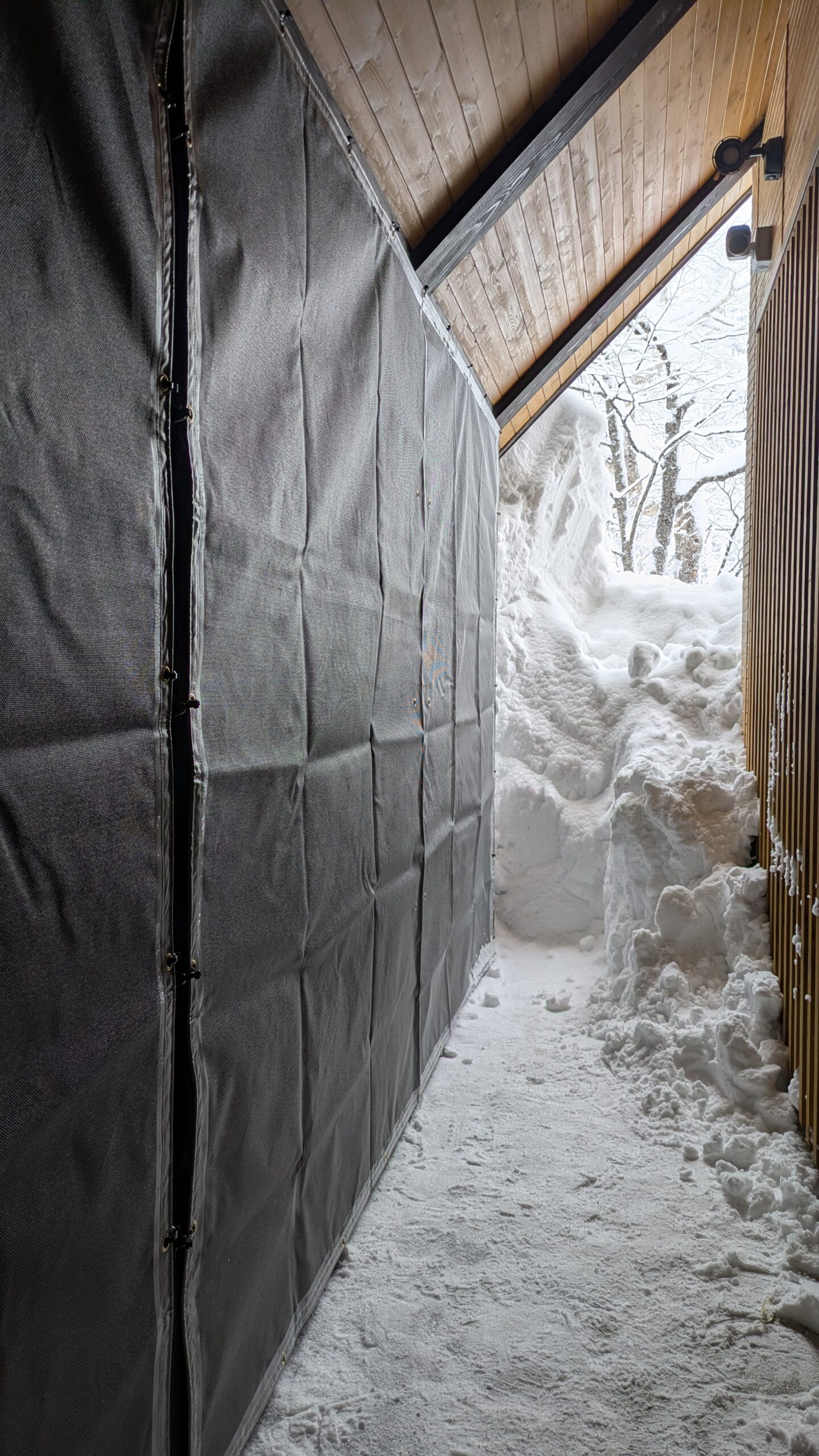 防風ネット仮置き