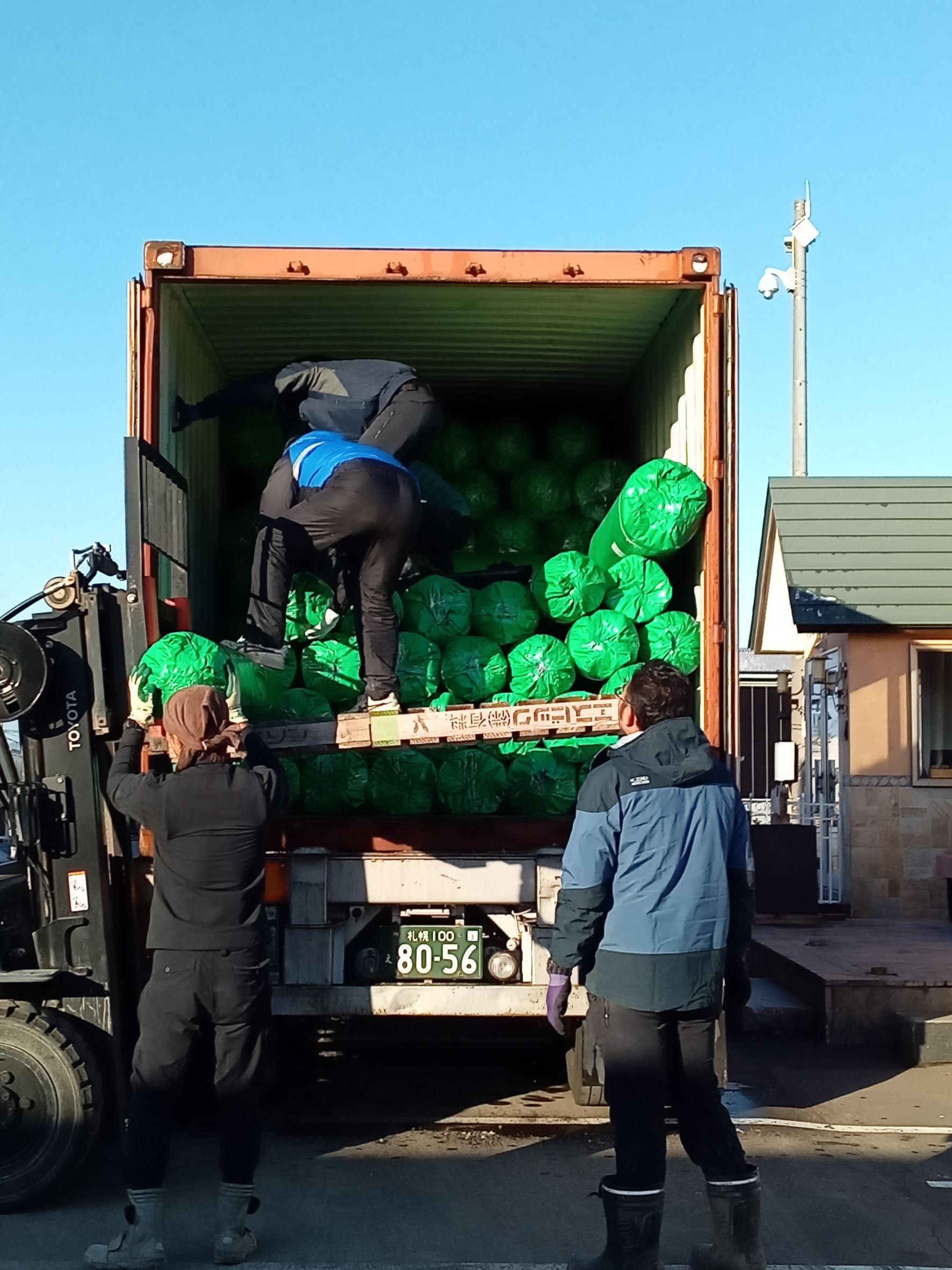 人工芝コンテナ