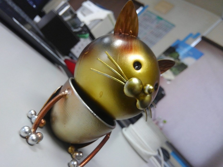 グリーン造園 猫カフェ 旭川 グリーン造園 猫カフェ 旭川