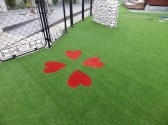 レッドクローバー=旭川グリーン造園 IMGP6644