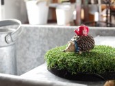 ミニハリネズミ=旭川グリーン造園 IMGP6708