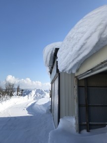 展示場