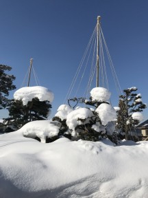 展示場