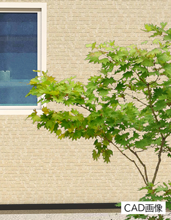 ハウチワカエデ